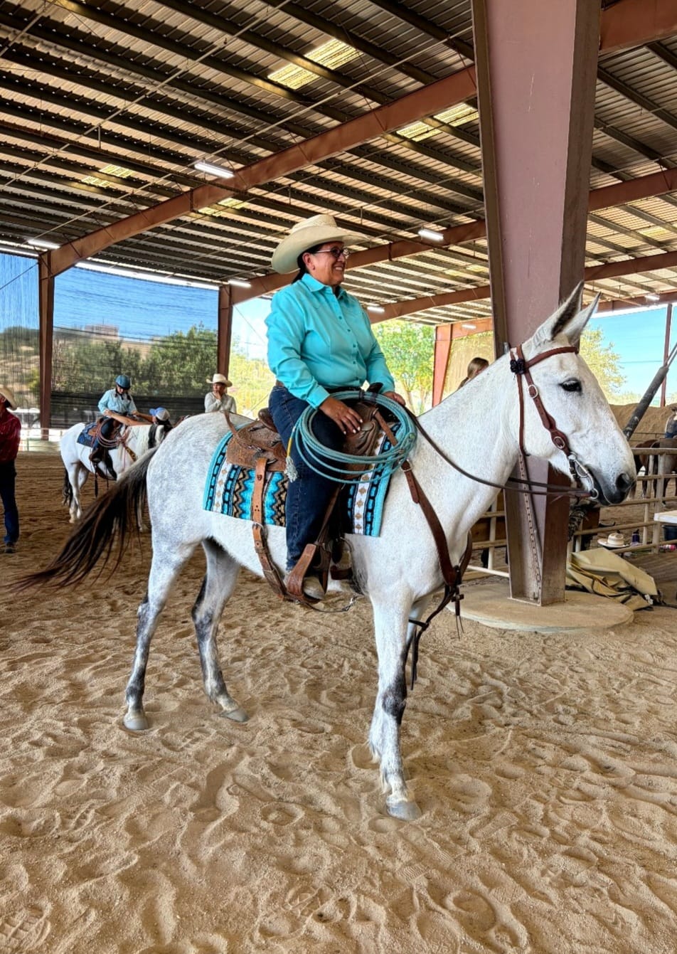 Customer photo review of OptiWize Collagen +Plus Horse Joint Supplement