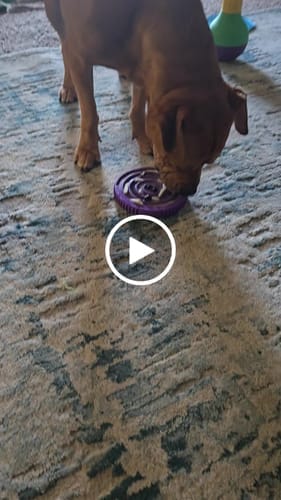 Customer photo review of FreezSwirl - Durable Stimulation Toy