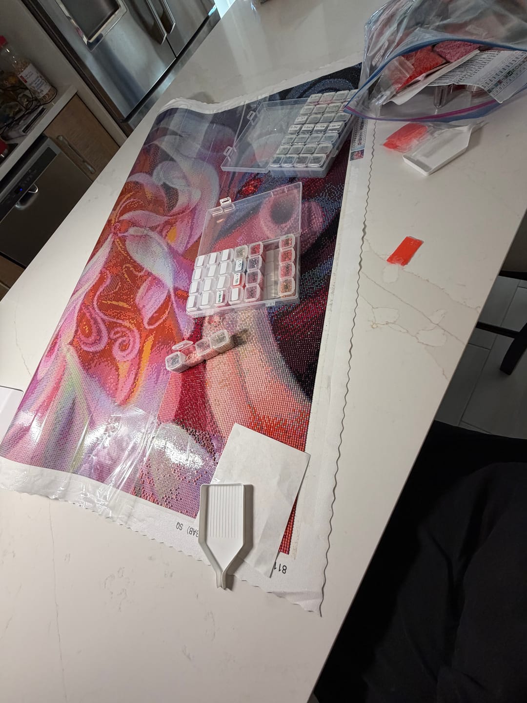 Customer photo review of Full Drill - 5D Diamond Painting Kits Beautiful Pink Colorful Abstract Flower