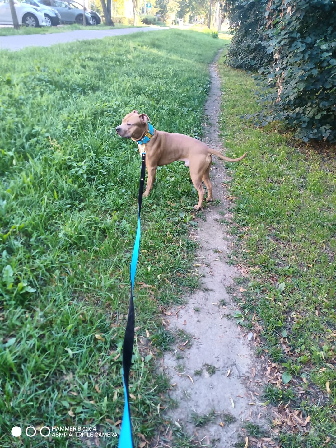 Customer photo review of Smycz dla psa z imieniem - Personal Leash