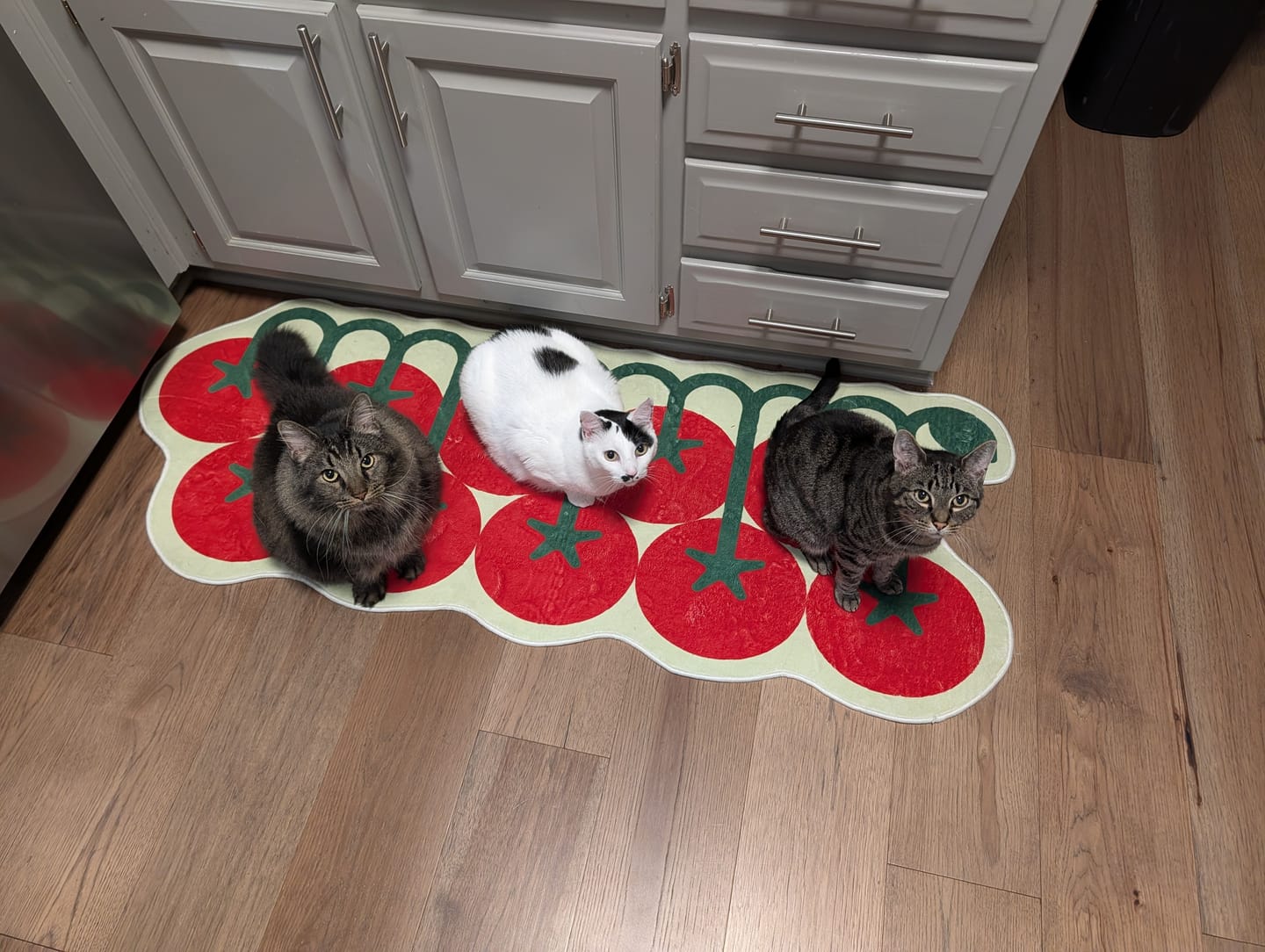 Customer photo review of Irregular Tomato Runner Rug by Johann Banta