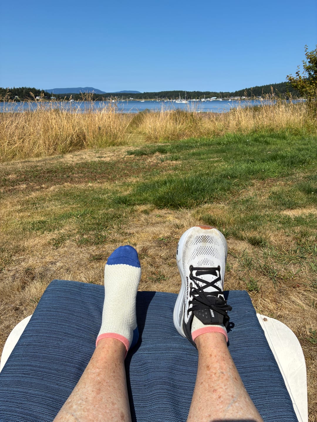 Customer photo review of Ascent - Cushioned Organic Cotton Heel Tab Shortie - Natural