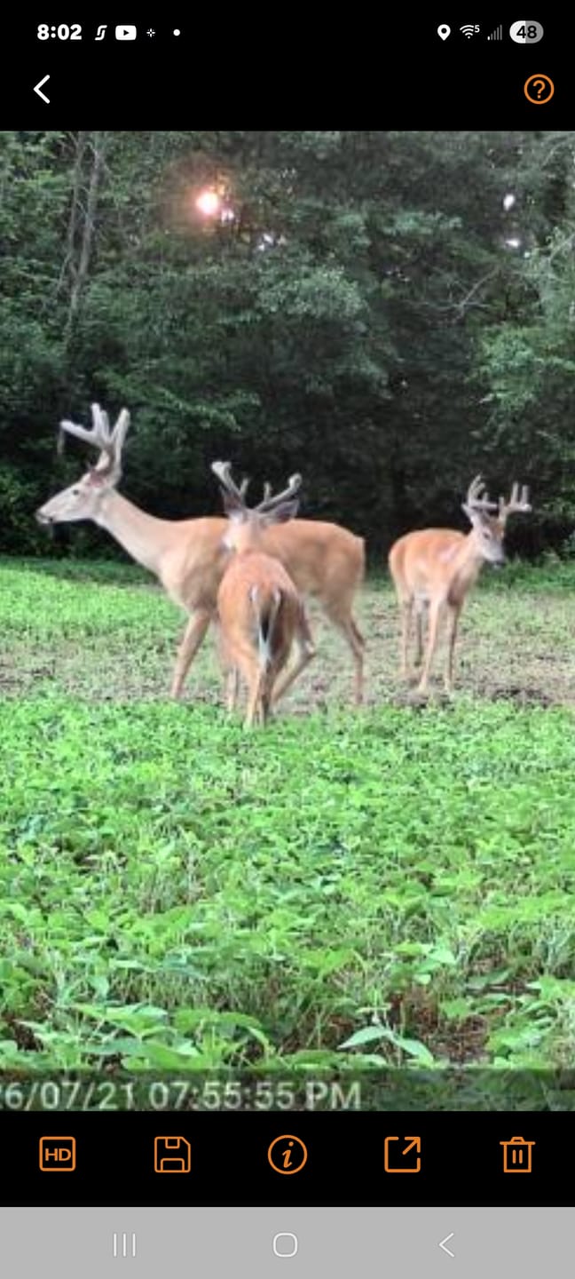 Customer photo review of GardePro Link 1.0 3000ft(1km) Long-Range Wireless Trail Camera