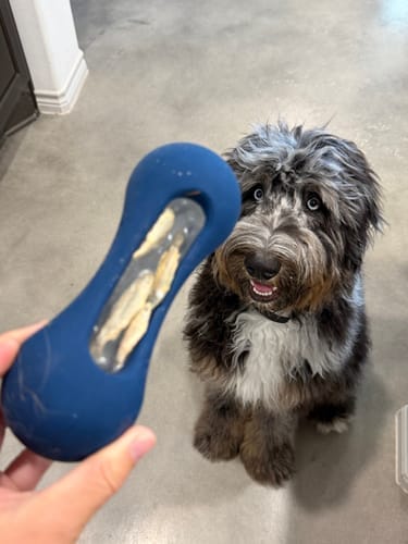 Customer photo review of Freezstick - Indestructible Enrichment Chew
