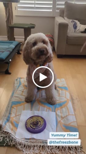 Customer photo review of FreezSwirl - Durable Stimulation Toy