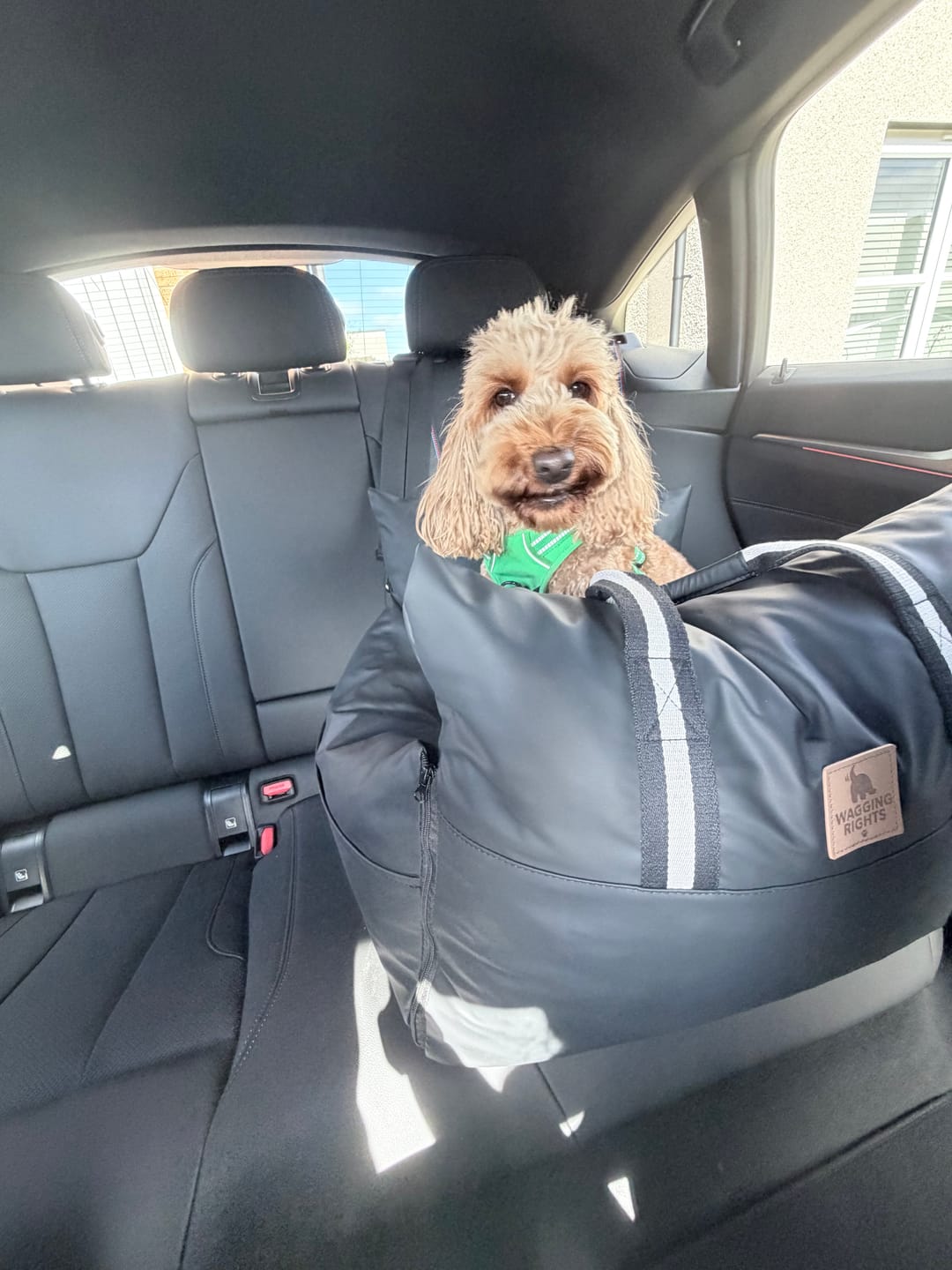 Customer photo review of The Dog Dock V2 New & Improved with ISO Fix