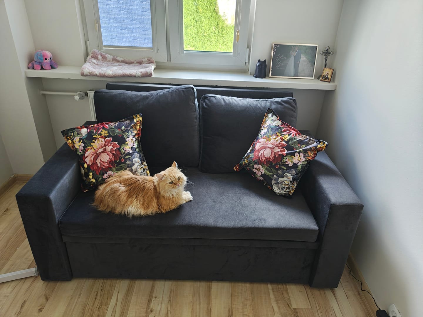 Customer photo review of Sofa NEO BP velvet