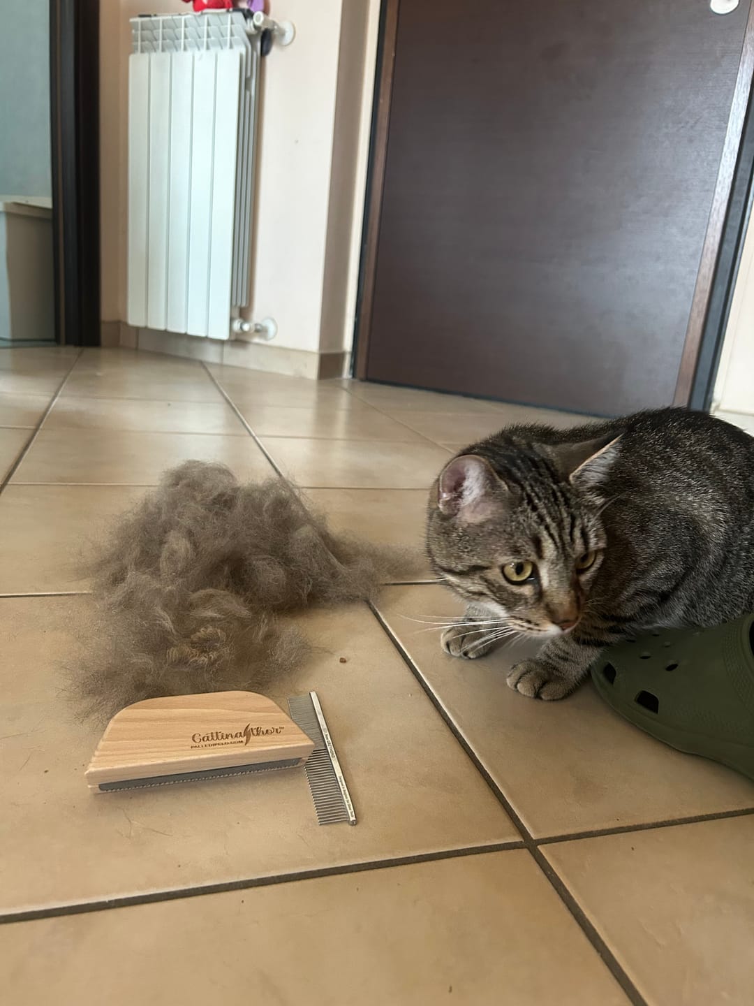 Customer photo review of Slanatore Gattinathor® per cani e gatti a pelo corto