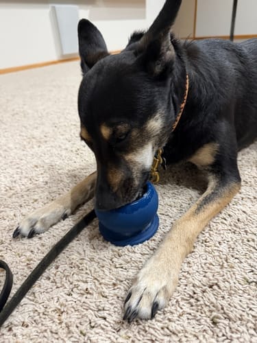 Customer photo review of Freezball - Durable Fillable Dog Chew Bone