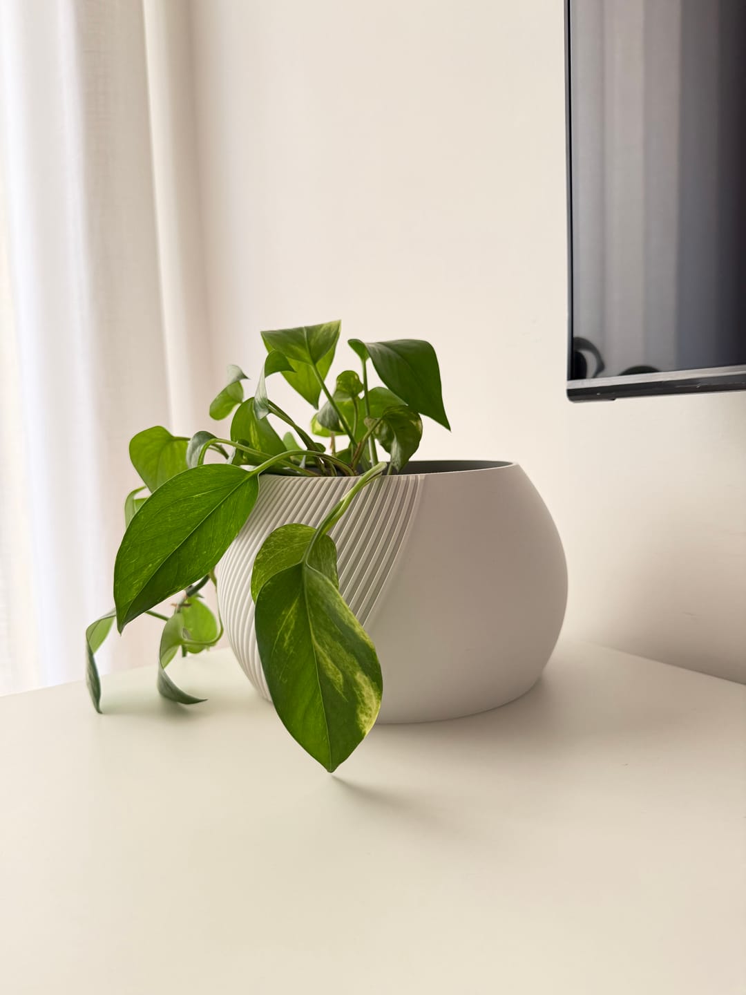Customer photo review of Vaso Grassa Mezzaluna