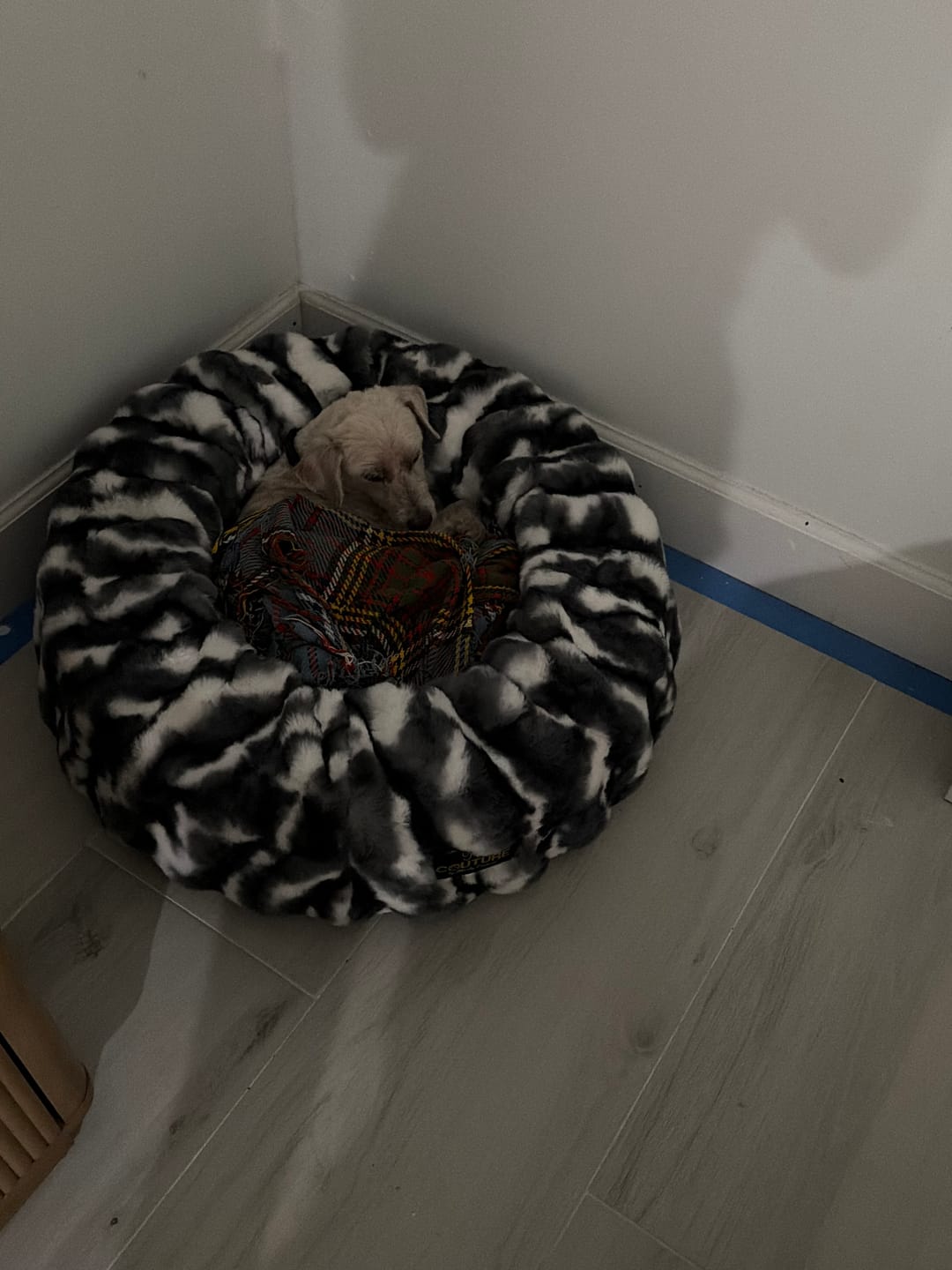 Customer photo review of Cloudy Day Black Pet Bed
