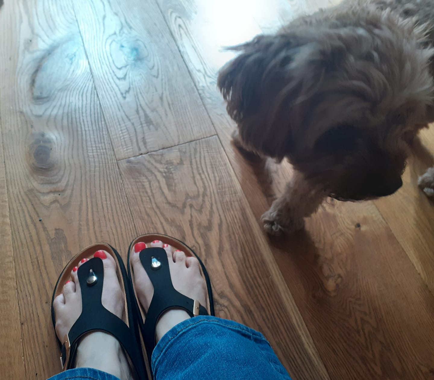 Customer photo review of Marjoram Comfort Footbed Sandals