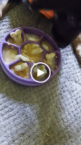 Customer photo review of FreezWheel - Durable Interactive Chew