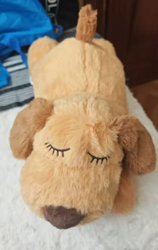 Customer photo review of Psi śpioszek - kojący pluszak dla psów