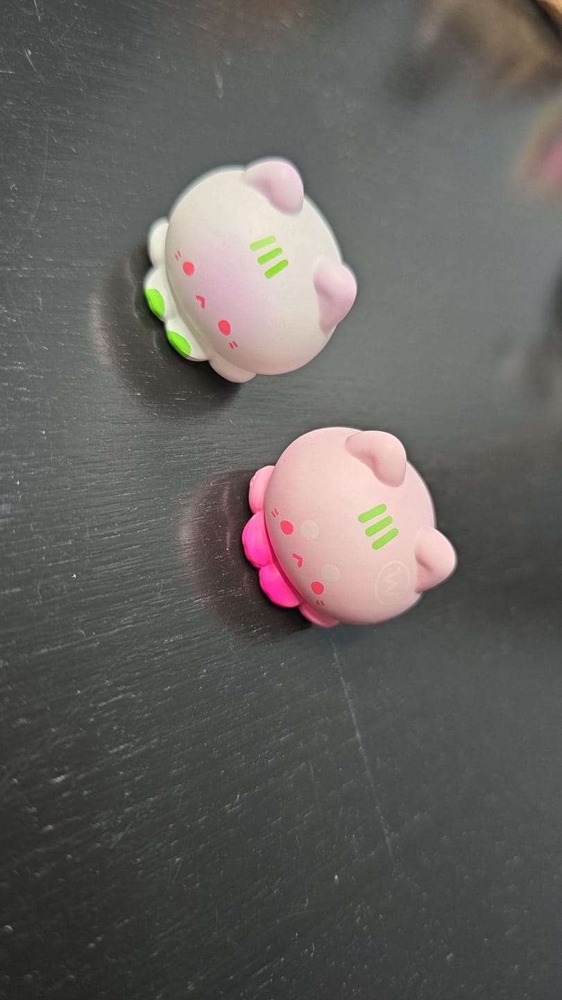 Customer photo review of Octcats' Snack Shop Series Blind Bag