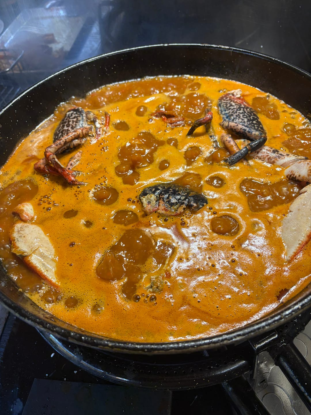 Customer photo review of Bogavante azul