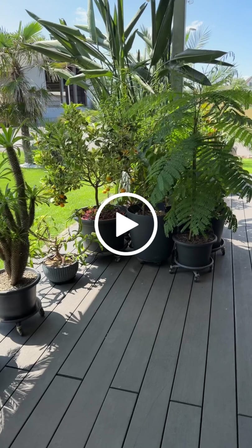 Customer video review of Boum Pro Wassertank 55 L