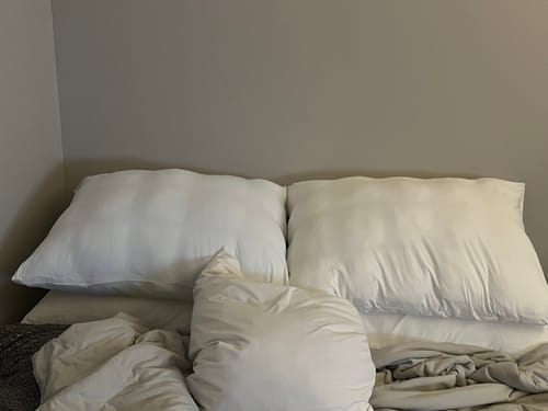 Customer photo review of Lune & Willow Pillow