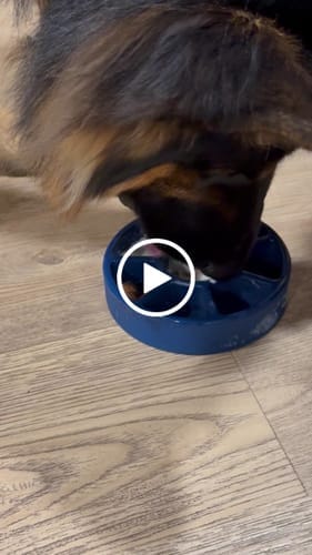 Customer photo review of FreezWheel - Durable Interactive Chew