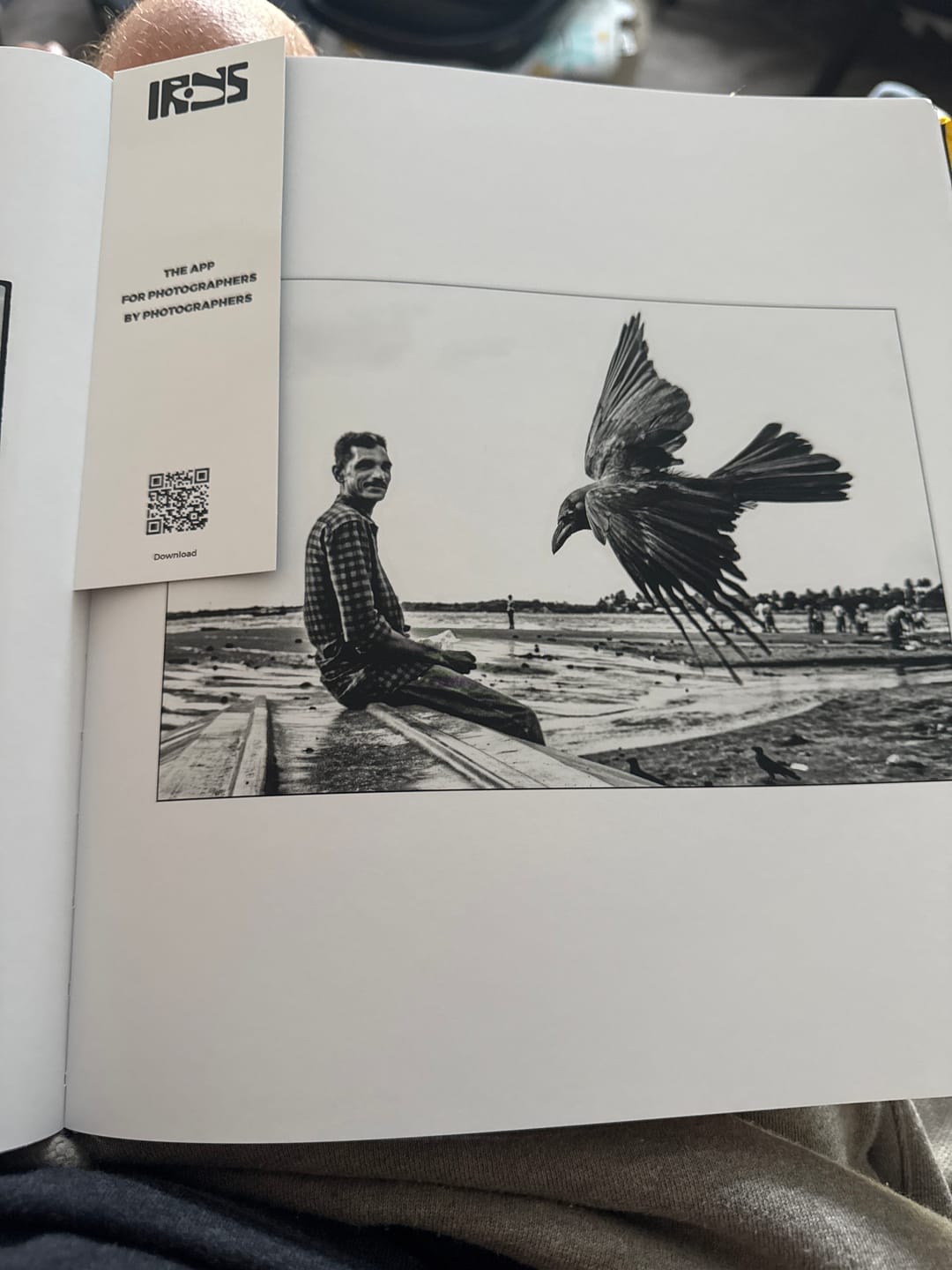 Customer photo review of Street Safari by Alan Schaller – Signed First Edition (Signature Included for the First 400 Orders)