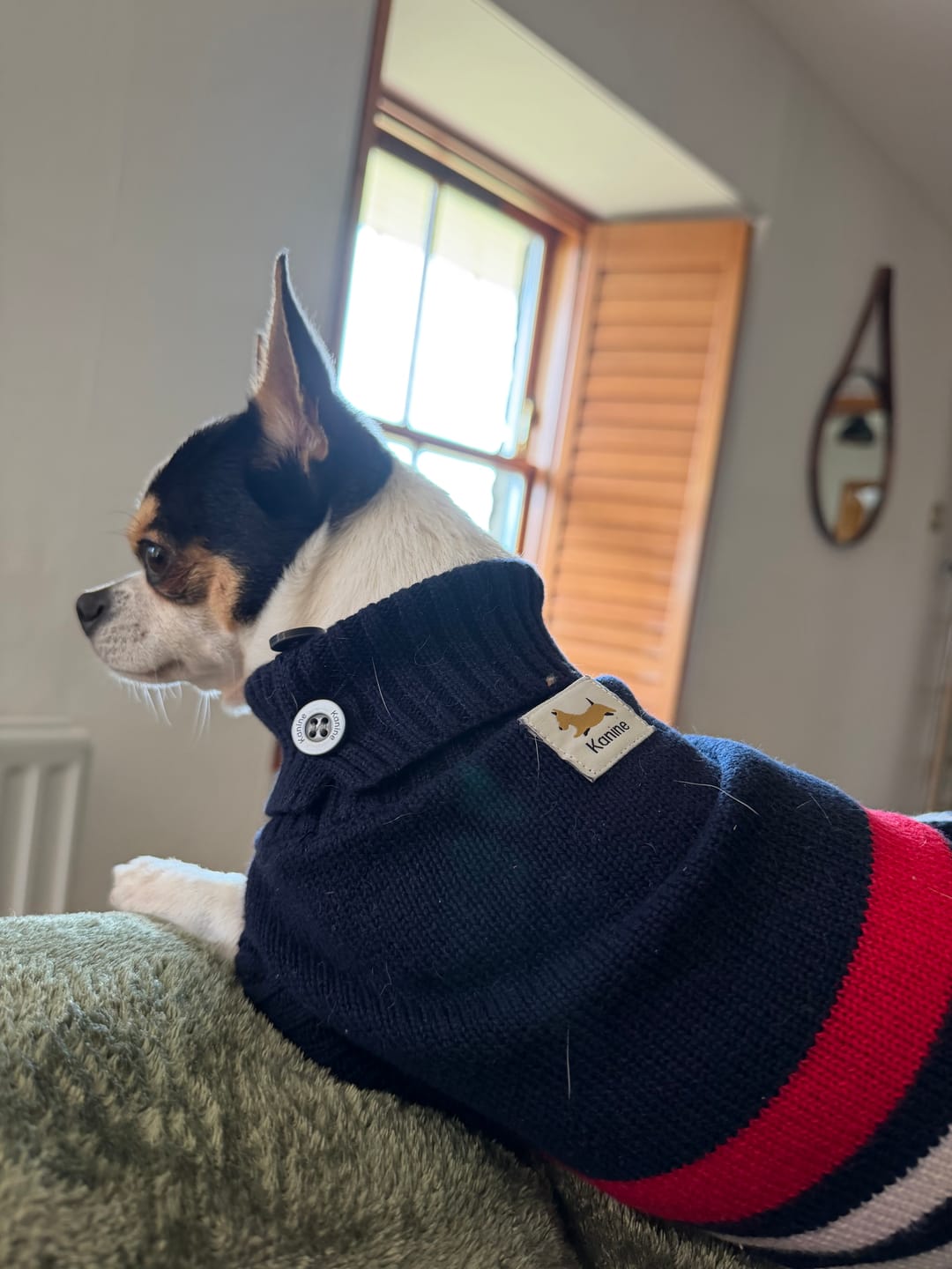 Customer photo review of Kanine Sweater