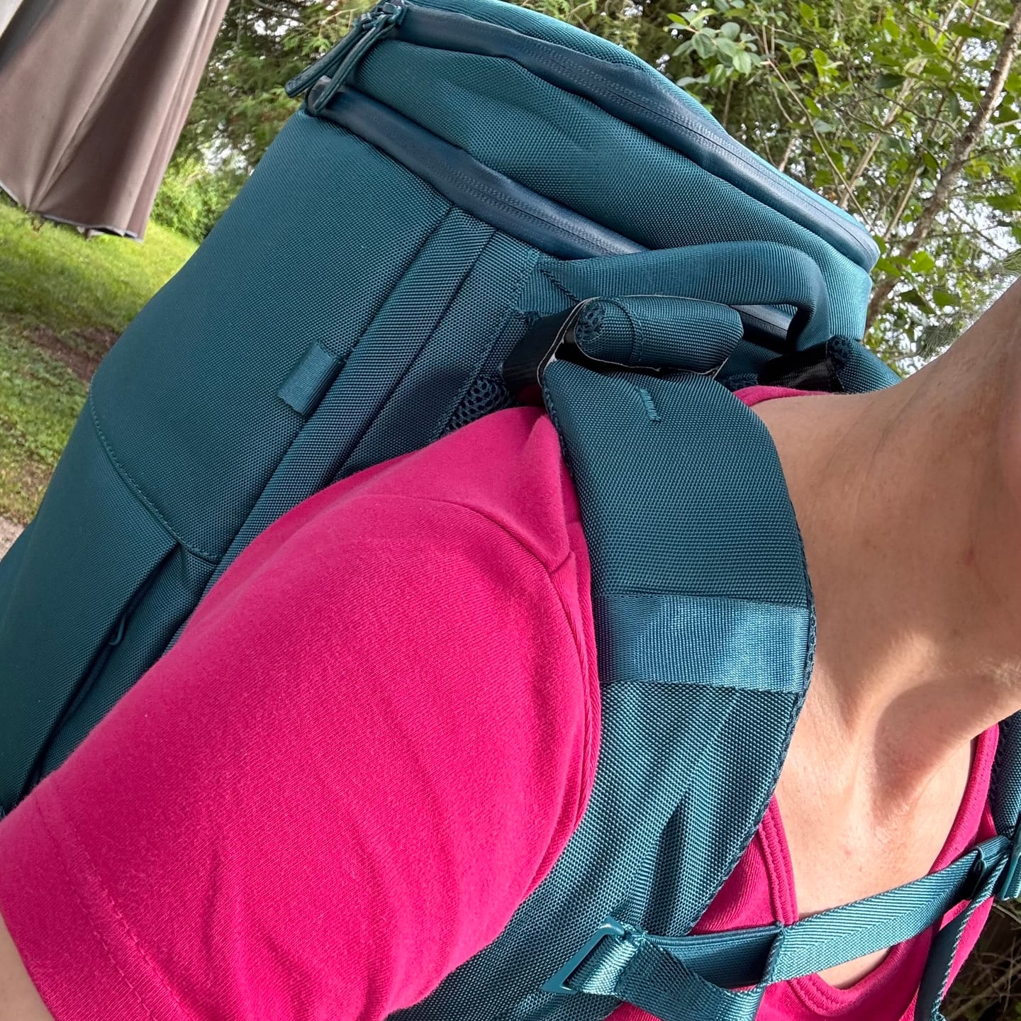 Customer photo review of The Organizer 20L