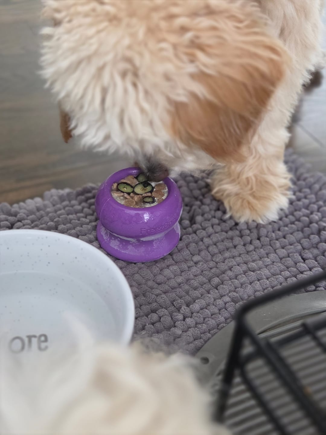 Customer photo review of Freez Doughnut - Super Durable Treat Toy