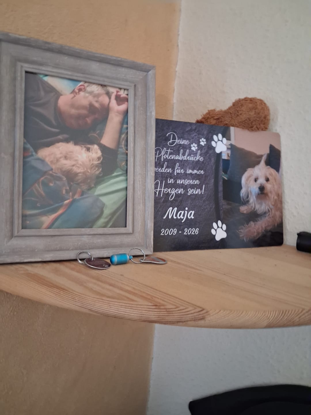 Customer photo review of Hunde Gedenktafel mit Foto & Spruch (UV- &  Wetterfest)