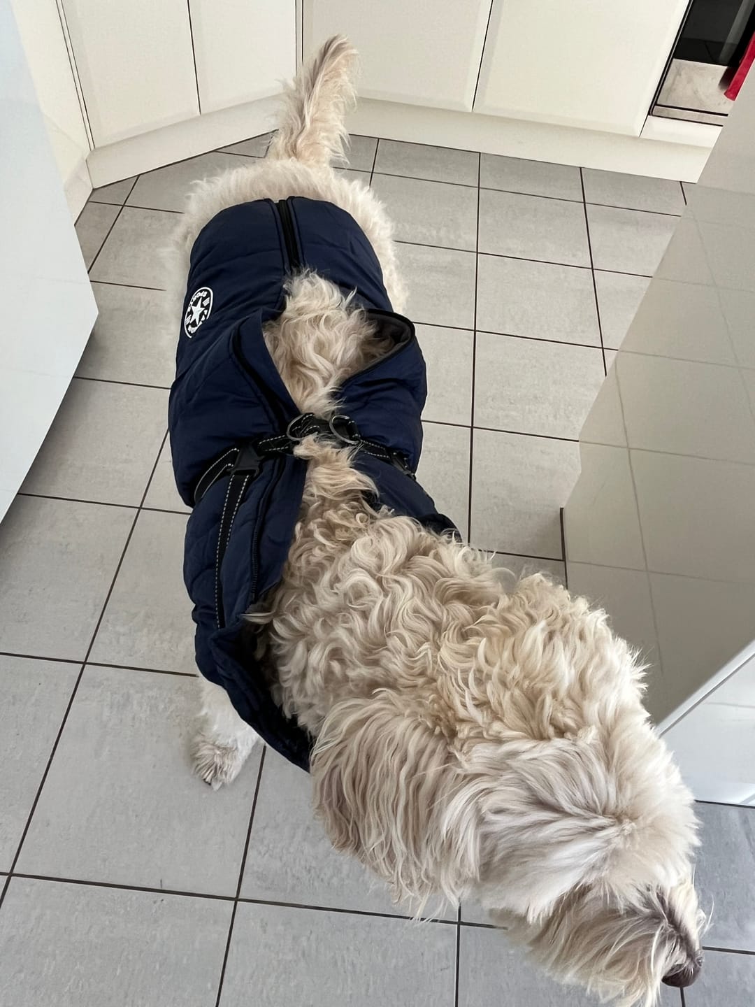 Customer photo review of FurryKing™ 3 in 1 Winter Jacket
