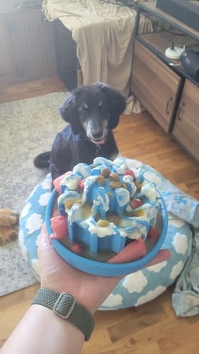 Customer photo review of FreezLava Heavy-Duty Enrichment Chew