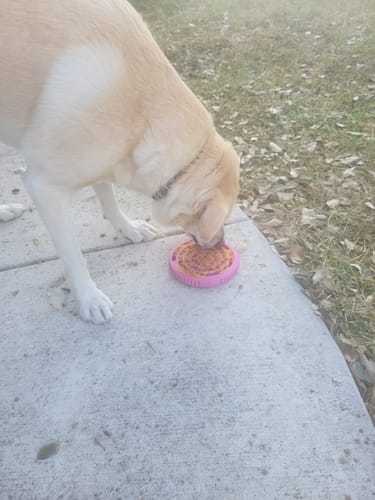 Customer photo review of FreezSwirl - Durable Stimulation Toy