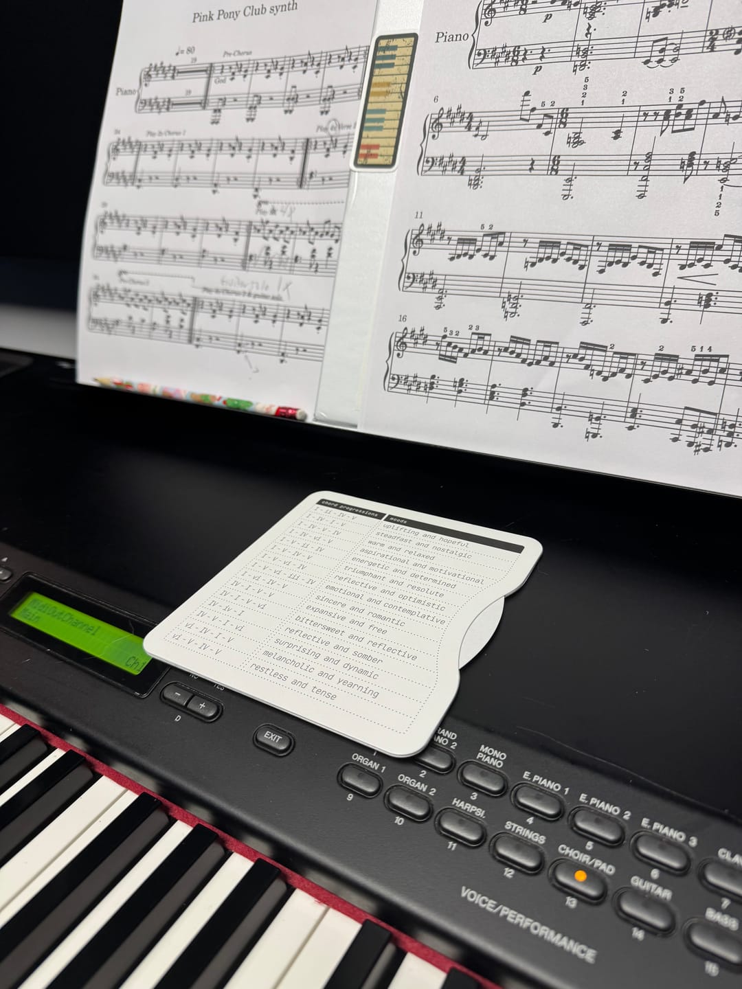 Customer photo review of Chordii