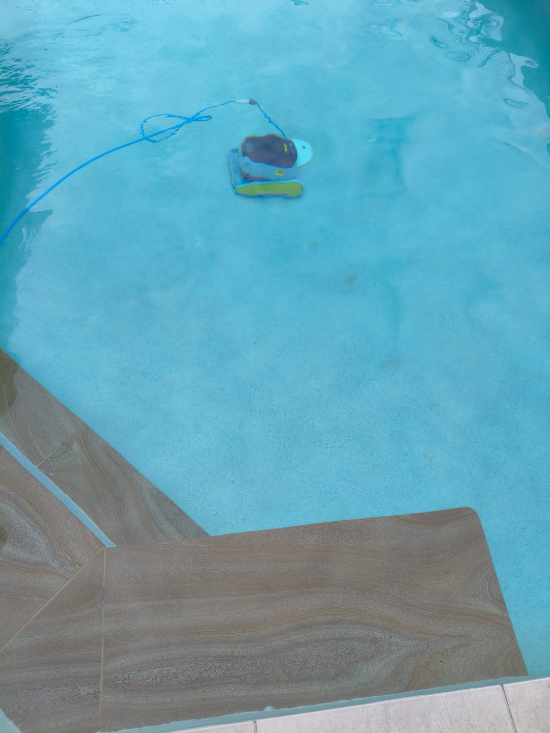 Customer photo review of Maytronics Dolphin X30 Robotic Pool Cleaner