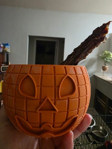 Customer photo review of FreezPumpkin Limited Halloween Edition Dog Toy