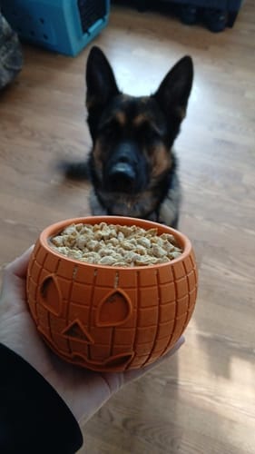 Customer photo review of FreezPumpkin Limited Halloween Edition Dog Toy