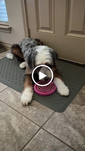 Customer photo review of FreezSwirl - Durable Stimulation Toy