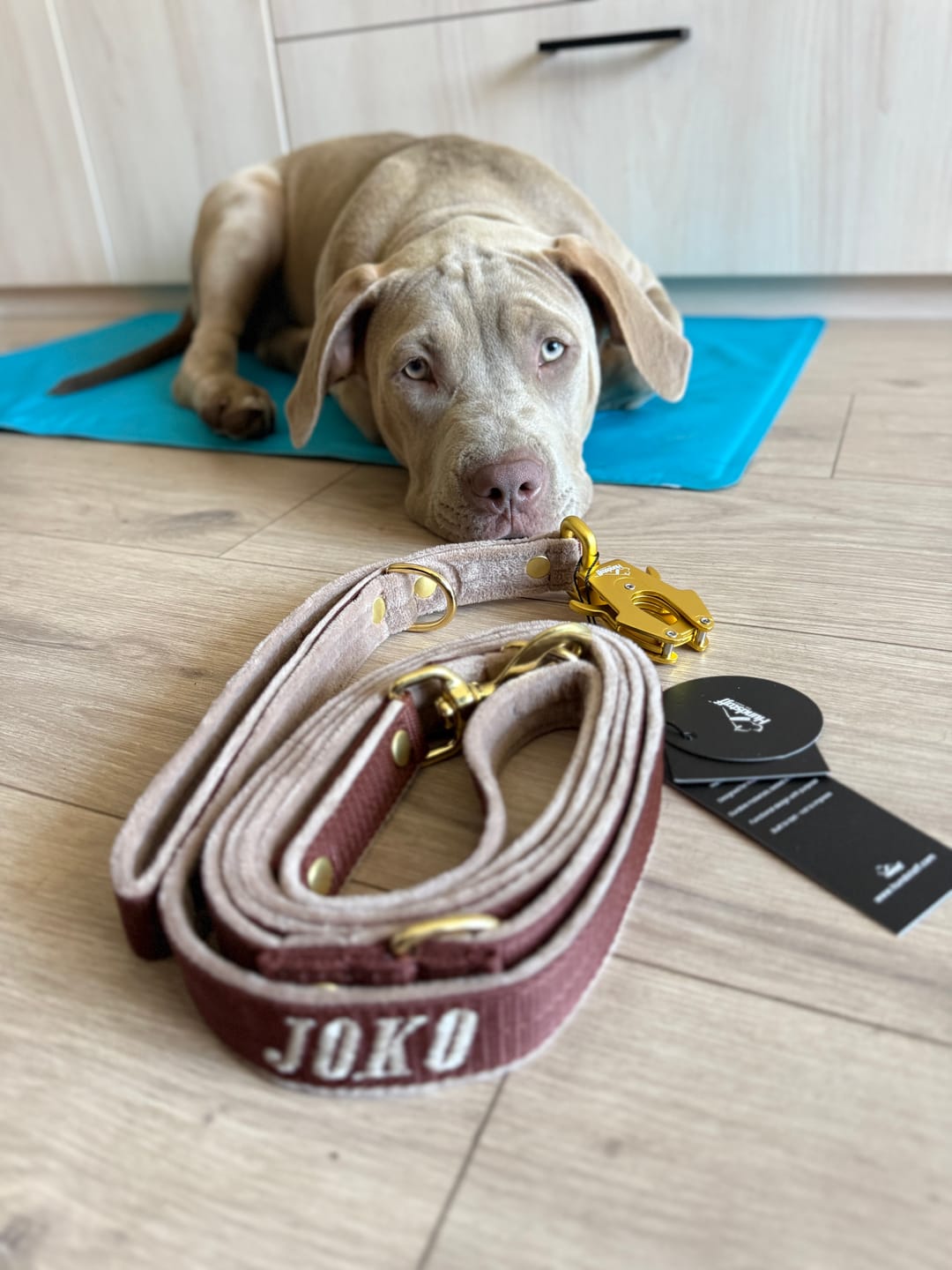 Customer photo review of Smycz przepinana dla psa z imieniem - Personal Multi Leash