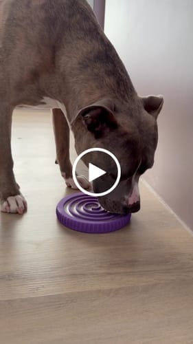 Customer photo review of FreezSwirl - Durable Stimulation Toy