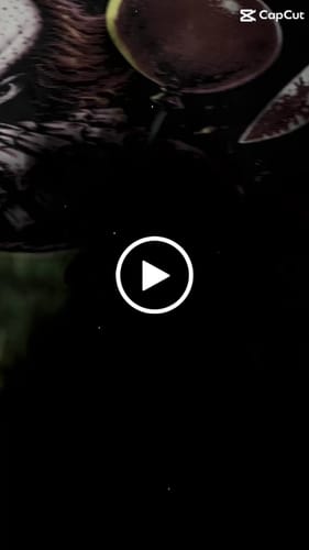 Customer video review of DTF Transfers Gangsheet Builder