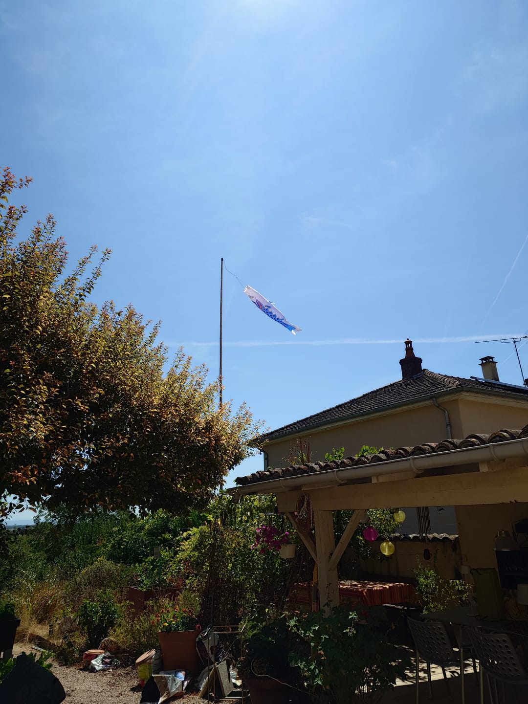 Customer photo review of Koinobori Japonaise Traditionnelle Bleue - 150 cm