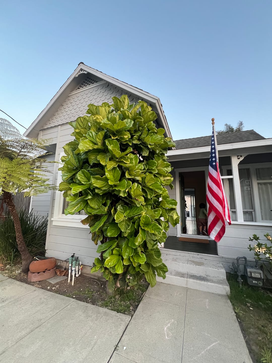 Customer photo review of 6' Flagpole