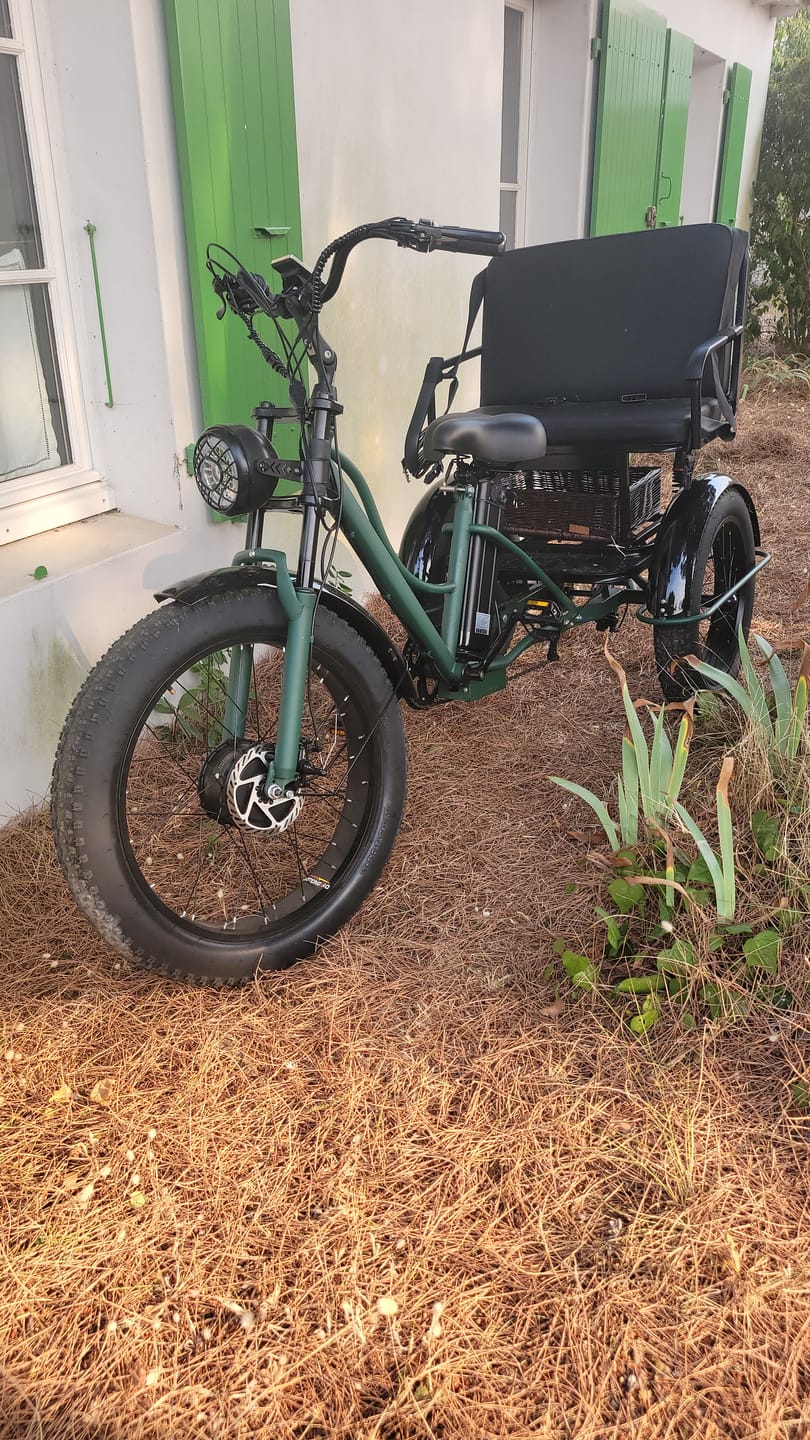 Customer photo review of Vélo Électrique 3 Roues Fat Bike – Treefat 2