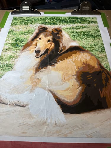 Customer's completed paint-by-numbers portrait of a long-haired Collie dog on a board.