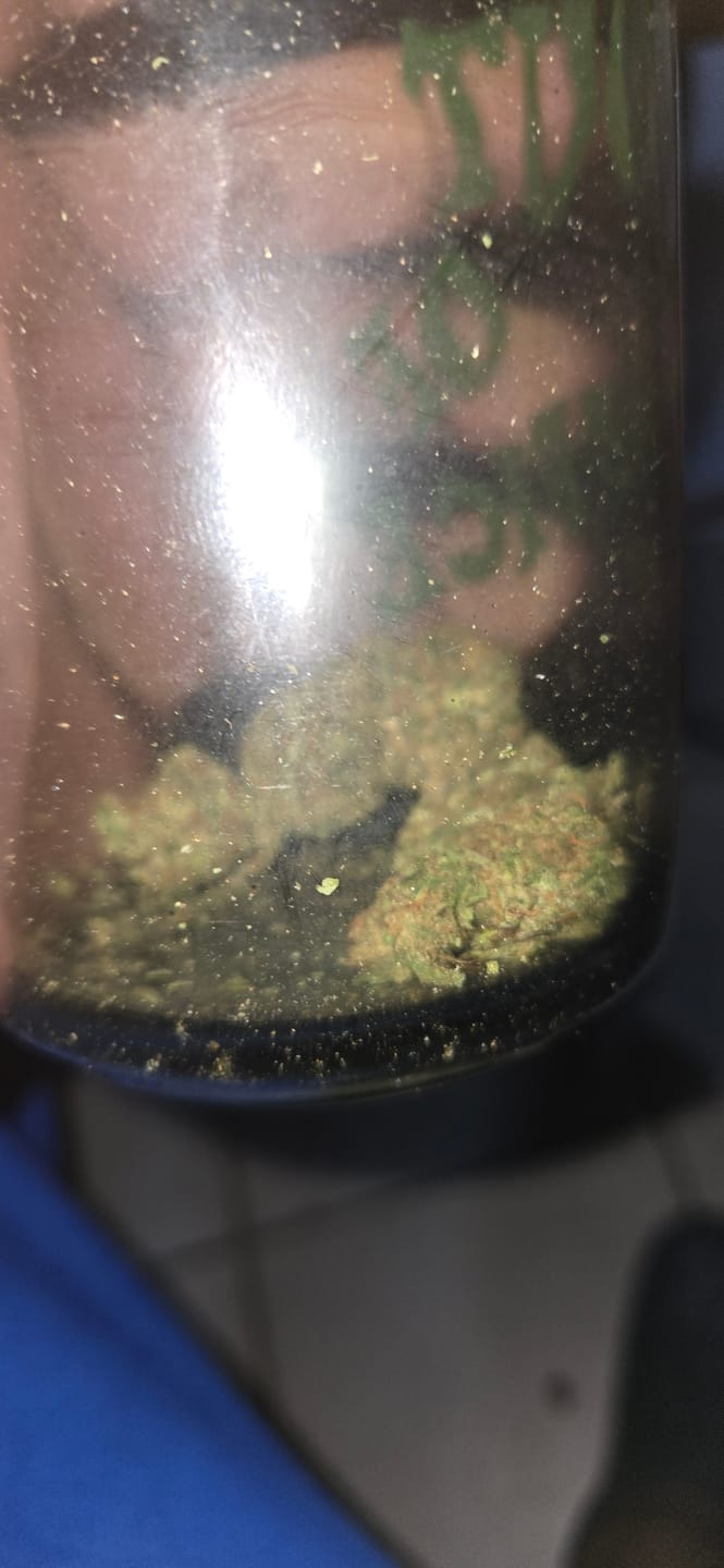 Customer photo review of Jager Sour Diesel - 28 Grams - Hybrid