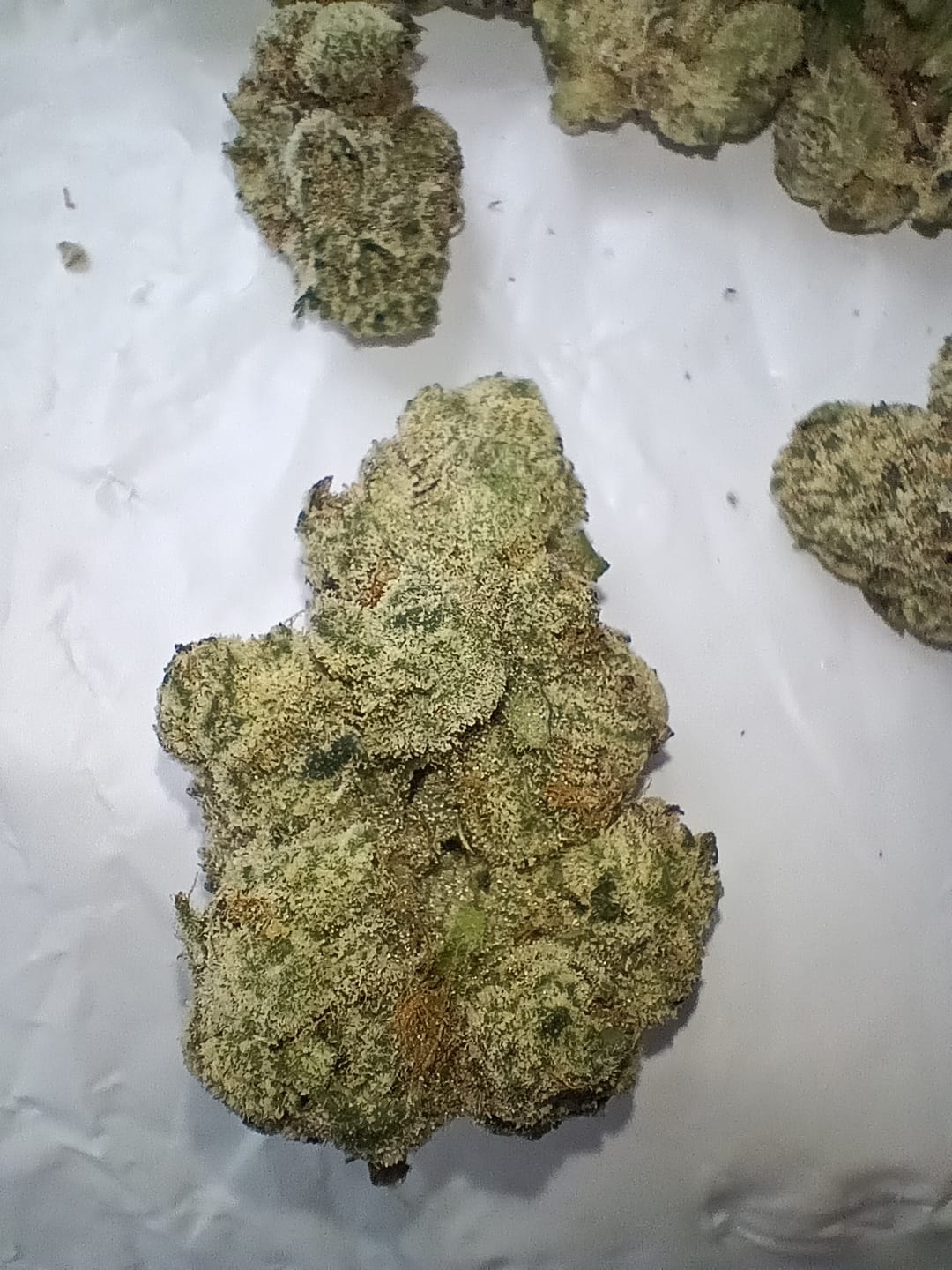 Customer photo review of Blueberry THCA Flower (Exotic)