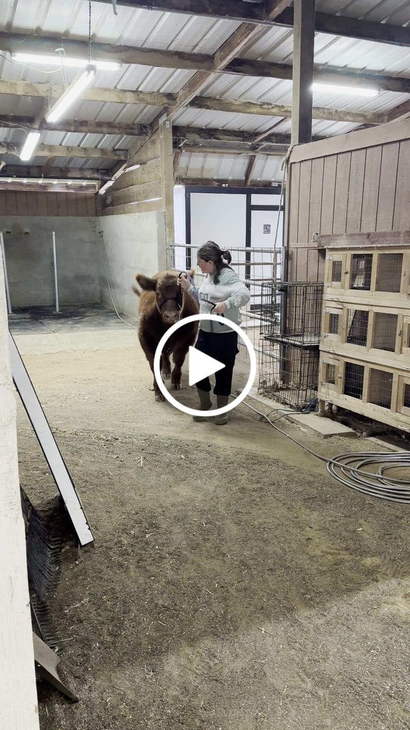 Customer video review of OptiWize Collagen +Plus Livestock Joint Supplement