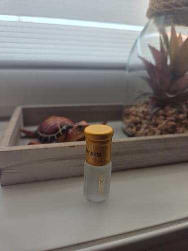 Customer photo review of Seaside
