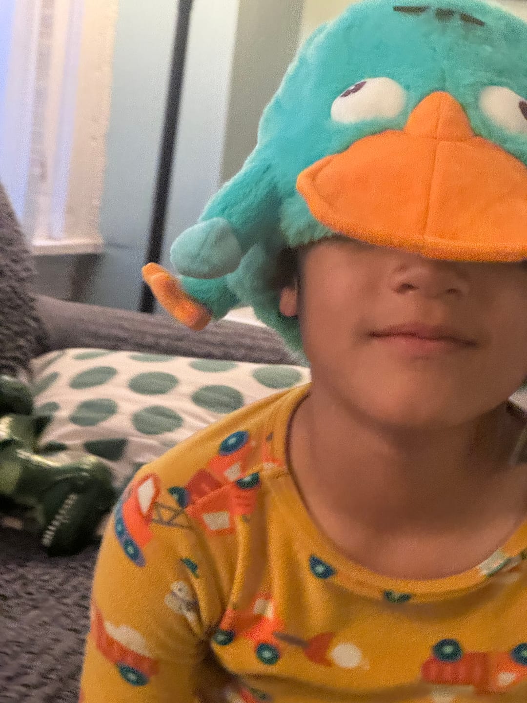 Customer photo review of Disney’s Phineas and Ferb "Perry the Platypus" – Plush Hat