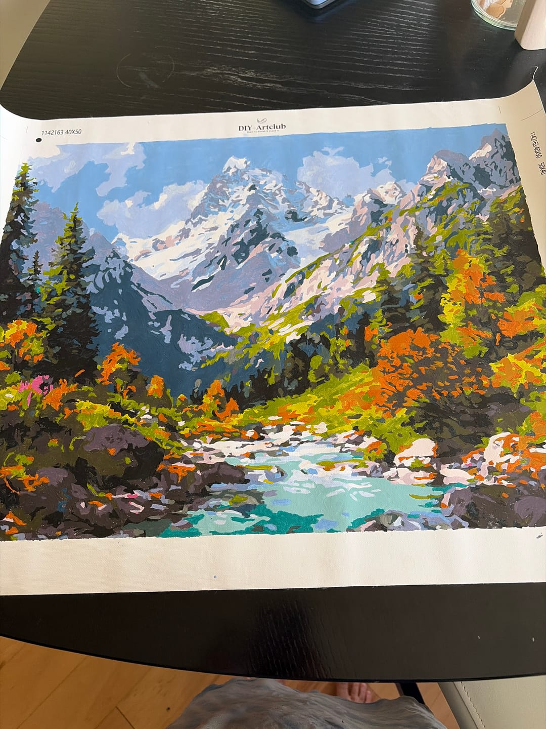 Customer photo review of Source of nature | Paint by Number