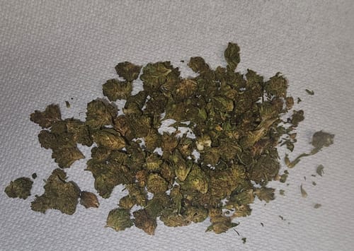 Super Lemon Haze - 28 Grams - Sativa photo review